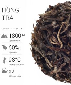 hong tra1