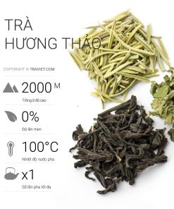 tra huong thao